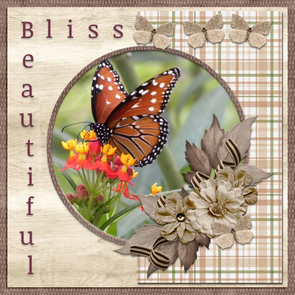 BEAUTIFUL BLISS