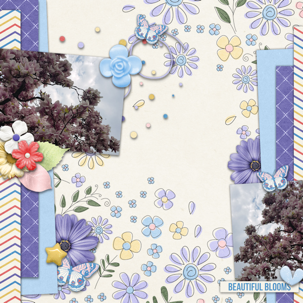Beautiful Blooms
