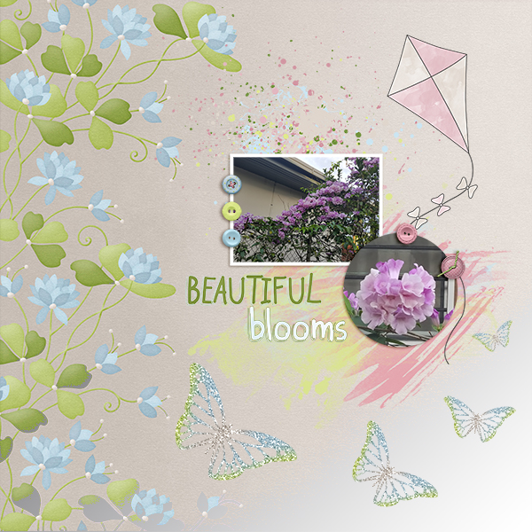 Beautiful Blooms