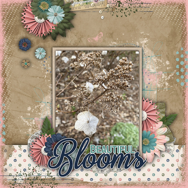 Beautiful Blooms