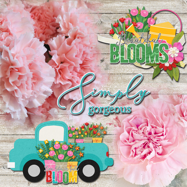 Beautiful Blooms