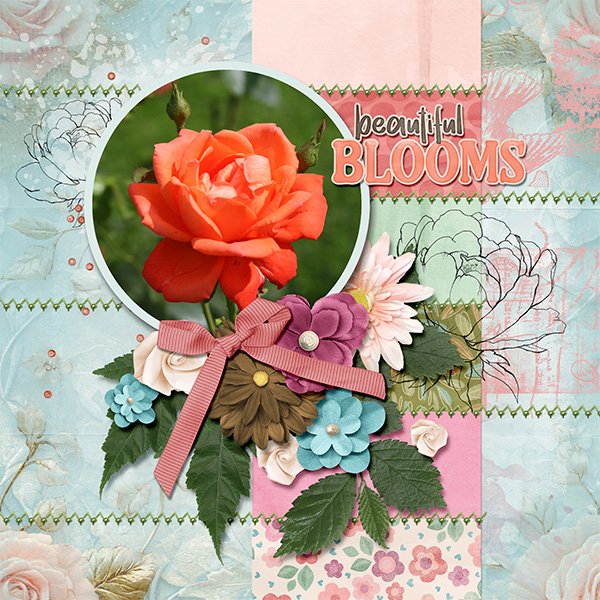 Beautiful blooms