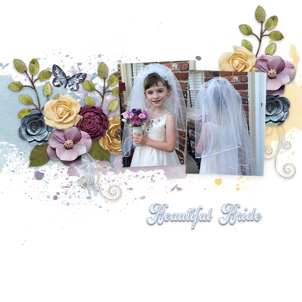Beautiful Bride