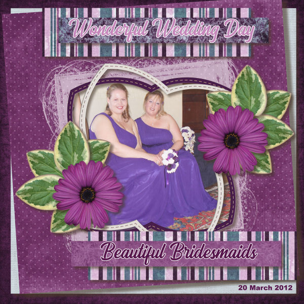 Beautiful Bridesmaids
