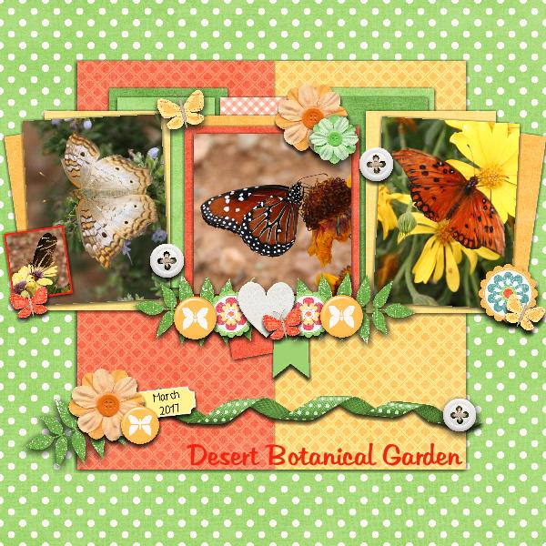 Beautiful Butterflies