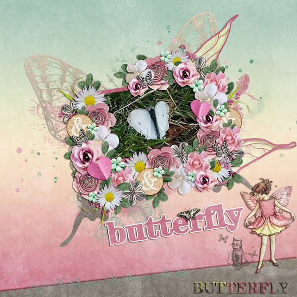 beautiful butterfly in my garden
