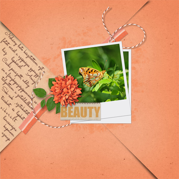 Beautiful Butterfly