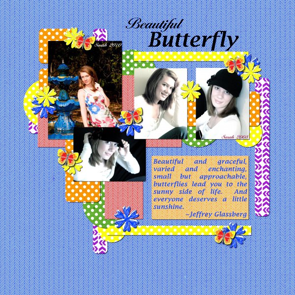 Beautiful Butterfly