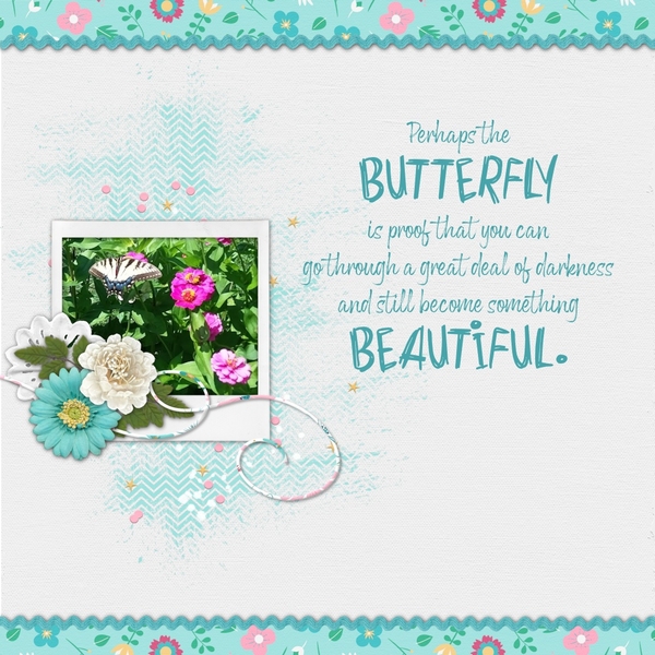Beautiful Butterfly