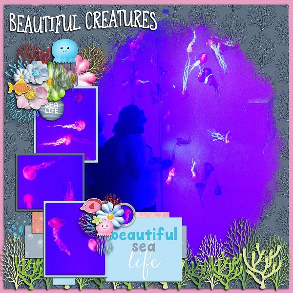 Beautiful Creatures