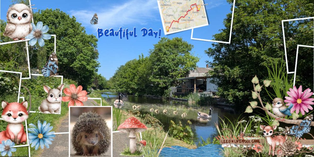 Beautiful Day!.jpg