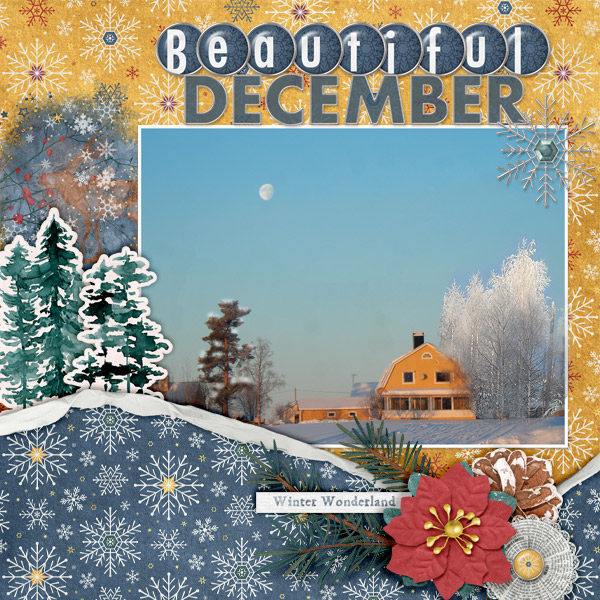 Beautiful-December1