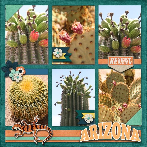 Beautiful Desert