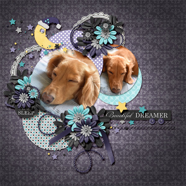 Beautiful Dreamer