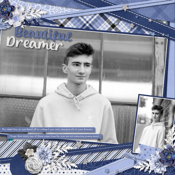 Beautiful Dreamer