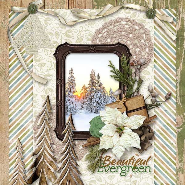 Beautiful Evergreen