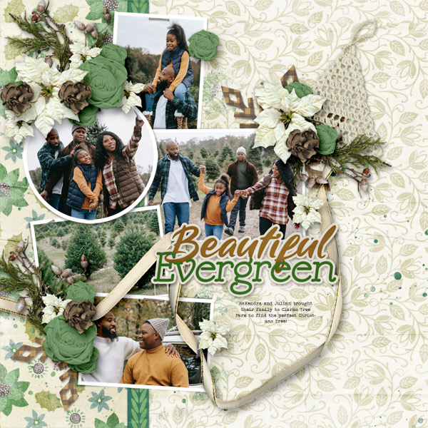 Beautiful Evergreen