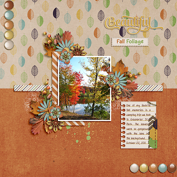 Beautiful Fall Foliage