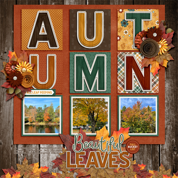 Beautiful Fall Leaves