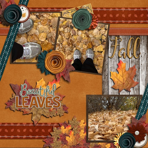 Beautiful Fall Leaves