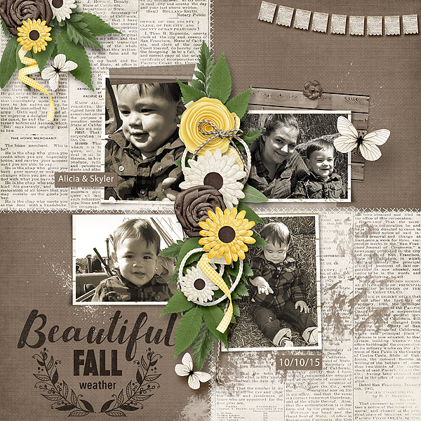 Beautiful Fall