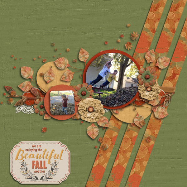 Beautiful Fall