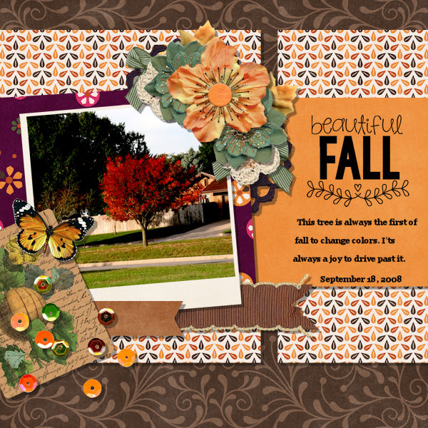 Beautiful Fall