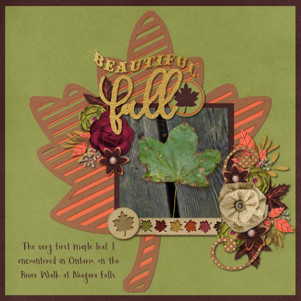 Beautiful Fall