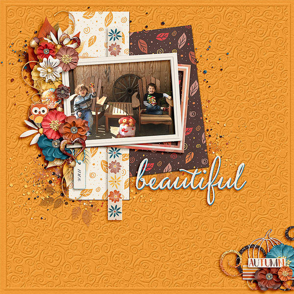 Beautiful Fall