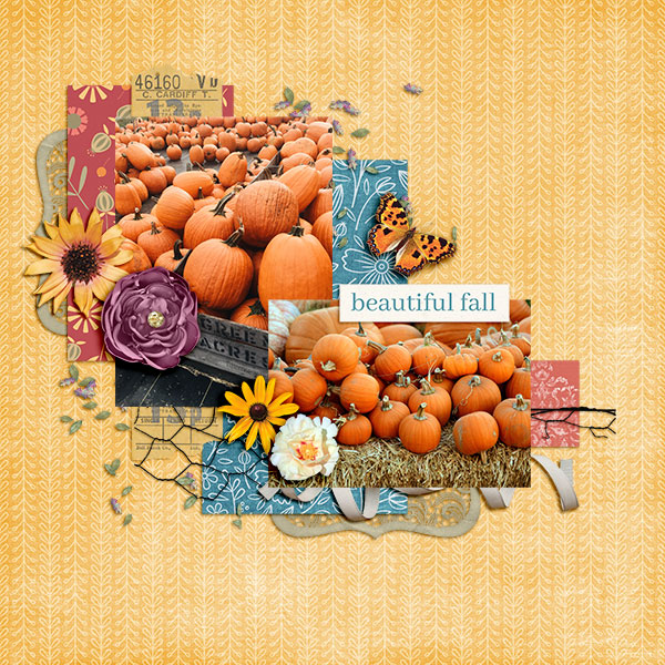 Beautiful Fall
