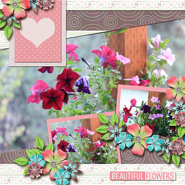 Beautiful Flowers