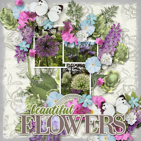 Beautiful Flowers