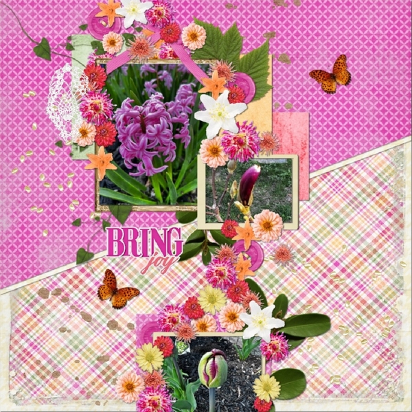 Beautiful Flowers