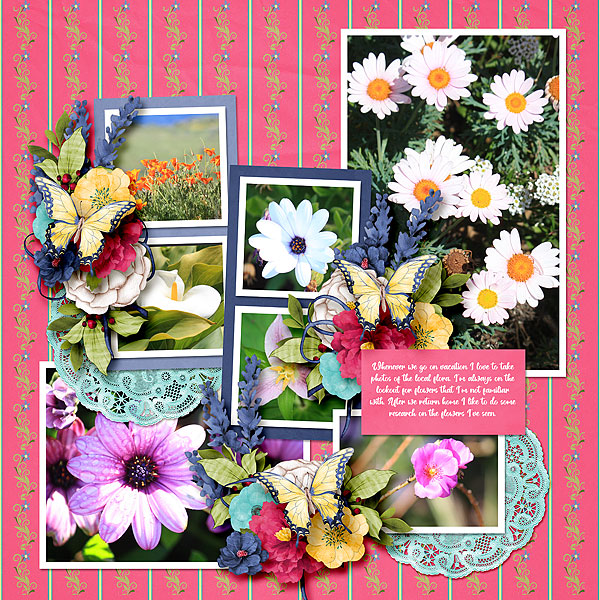 Beautiful Flowers