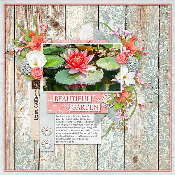 BEAUTIFUL GARDEN