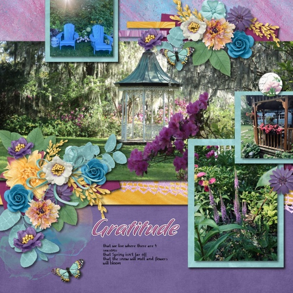 Beautiful Garden