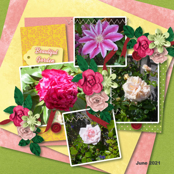 Beautiful Garden