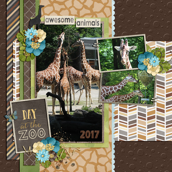 beautiful giraffes