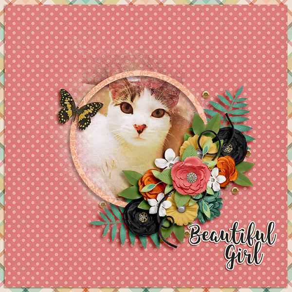 beautiful girl