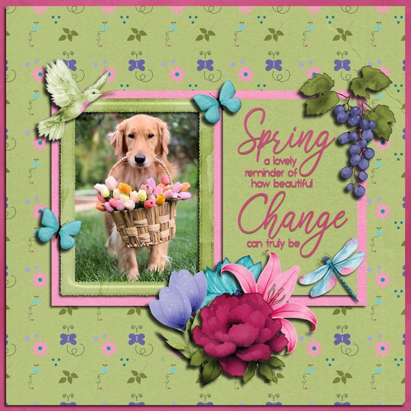 Beautiful Glorious Spring