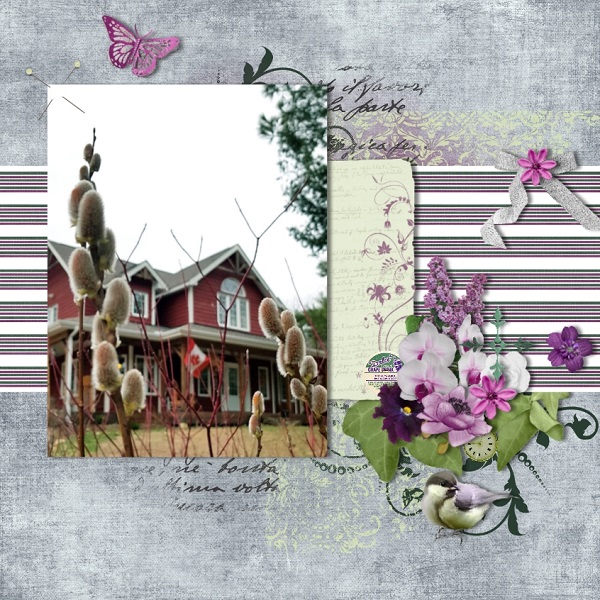 Beautiful Home