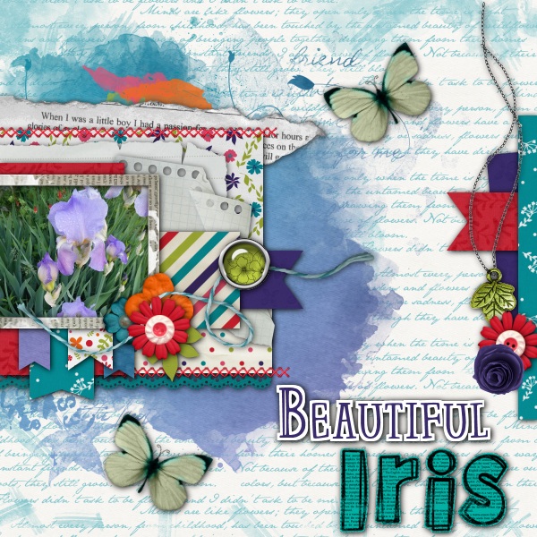 Beautiful Iris