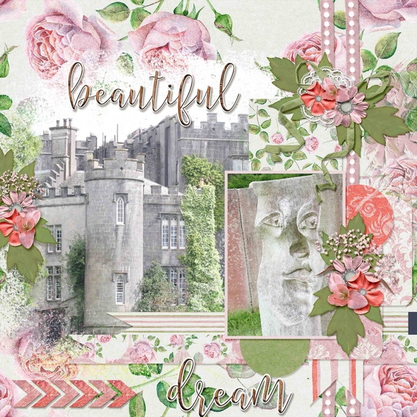 Beautiful Irish Castle Dream