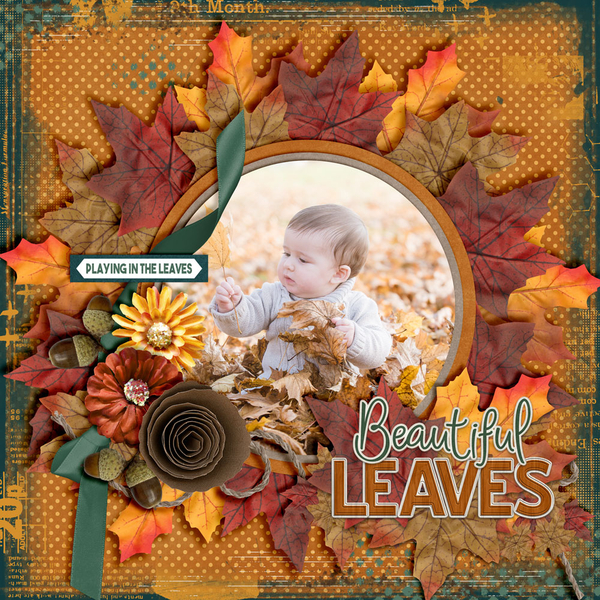 Beautiful-Leaves
