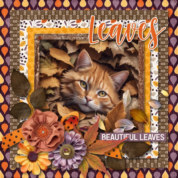 beautiful leaves