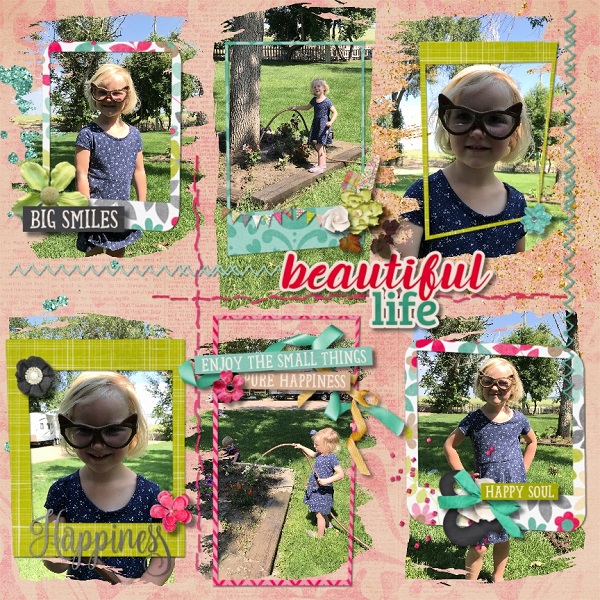 Beautiful Life