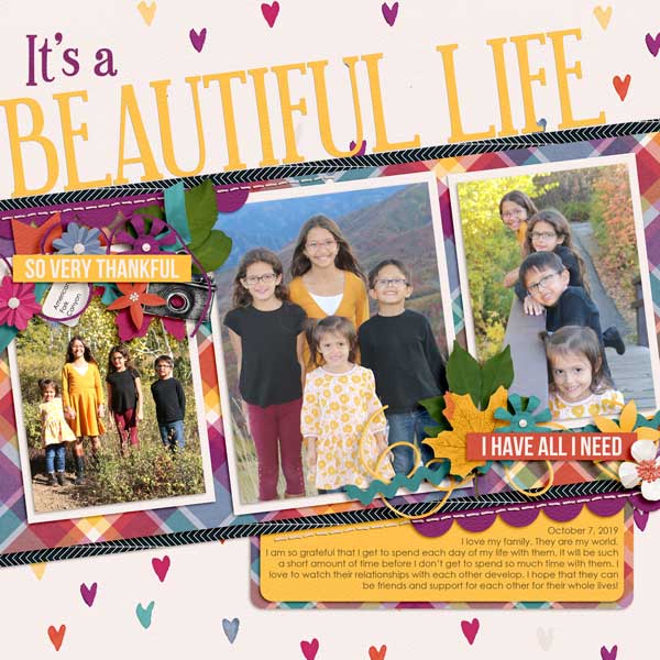 Beautiful Life