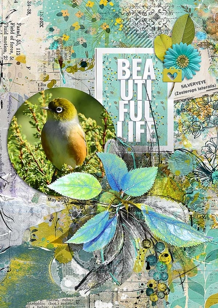 BEAUTIFUL LIFE