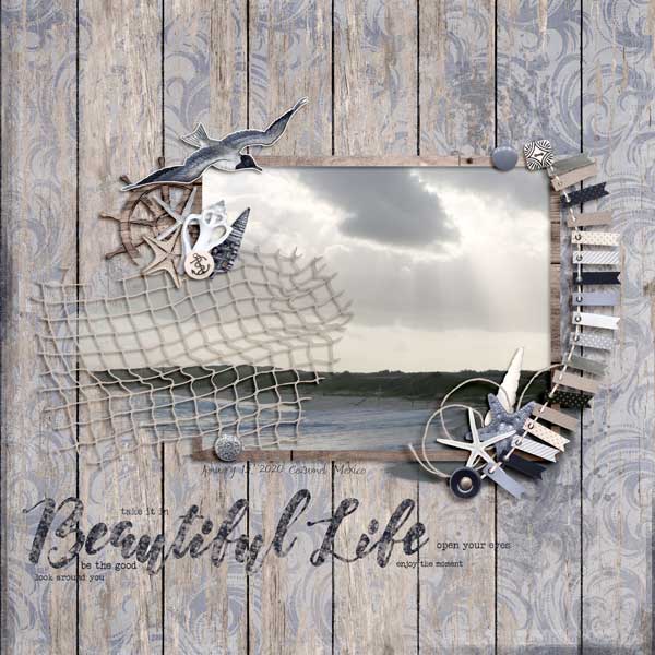 Beautiful Life