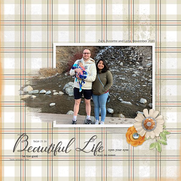 Beautiful Life